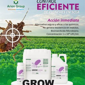 PRODUCTO 2